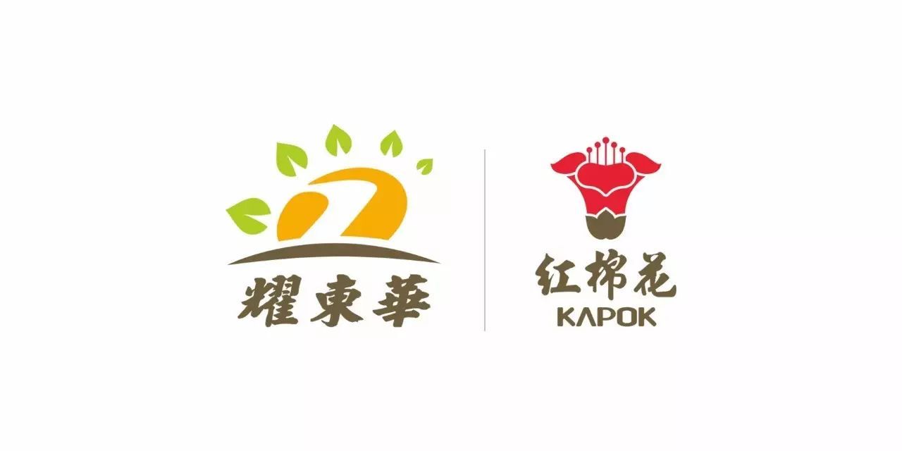 【会员推介】板材丨耀东华 —— 影响饰界的选择