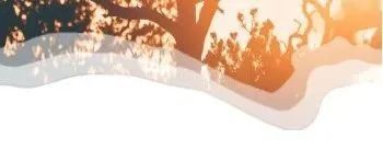 永茂板饰 |  2021应用鉴赏