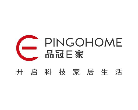 合肥荣事达电子电器集团有限公司