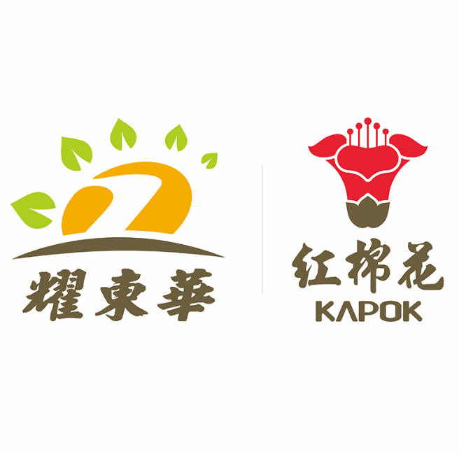 广东耀东华装饰材料科技有限公司