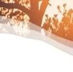 【会员动态】永茂板饰 |  2021应用鉴赏